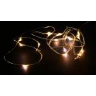 Central Park Lichtsnoer 20l Miniatuur Led - Warm Wit