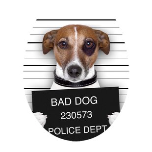 Aquavive Wc-bril Bad Dog - Duroplast - Softclose - Verstelbaar - Met Hondenprint