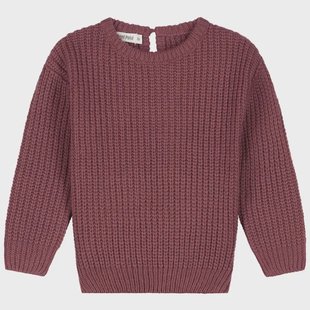 Sweet Petit peuter trui Gerda