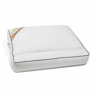 NachtrustOnline - Kapok Kussen- 50x60cm