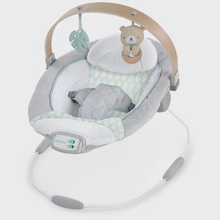 Ingenuity Cozy Spot wipstoel