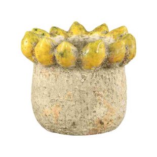 PTMD - Pot Fruitsy - Geel - 21x21x18cm