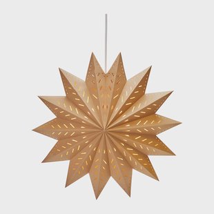 PR Home Alfa adventster bruin 50 cm