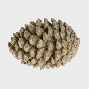 Lene Bjerre Serafina dennenappel decoratie 8,3 cm Lichtgoud