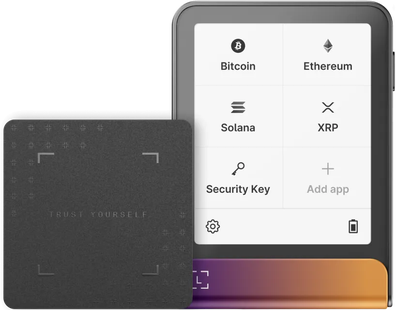 Ledger Flex incl. Recovery Key Ferro Fuchsia
