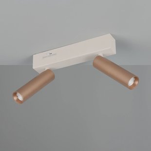 Trio Lighting LED plafondspot Ambala, lengte 26 cm, grijs/bruin, 2-lamps.