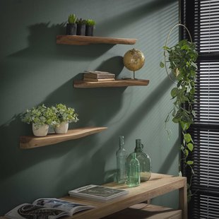 Wandplank 'Erica' Boomstam, Set van 3 stuks