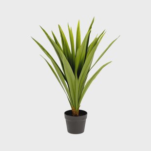 Kave Home Kunstplant 'Yucca'