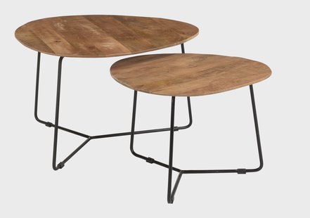 Brix Organische Salontafel 'Ivy' Set van 2 stuks, kleur Bruin