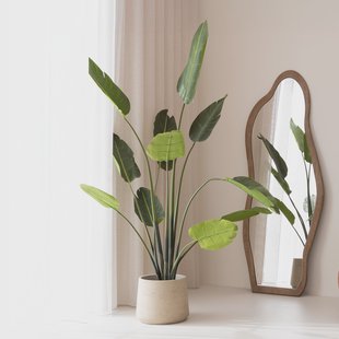 By-Boo Kunstplant 'Strelitzia' 220cm hoog