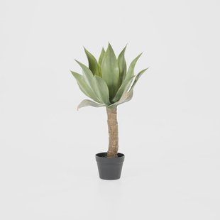 By-Boo Kunstplant 'Agave' op stam, 82cm hoog