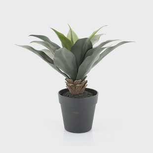 By-Boo Kunstplant 'Agave' 35cm hoog