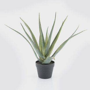 By-Boo Kunstplant 'Aloë Vera' 58cm hoog