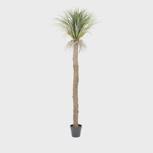 By-Boo Kunstplant 'Wild Yucca Tree' 244cm hoog