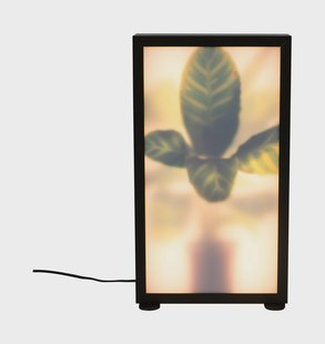 Zuiver Vloerlamp 'Grow' Zebraplant, 50cm