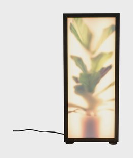 Zuiver Vloerlamp 'Grow' Vioolbladplant, 60cm