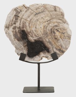 MUST Living Ornament 'Fossil' Versteend hout, 33cm hoog