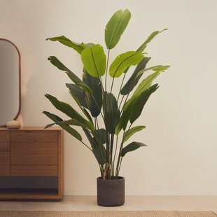 Kave Home Kunstplant Banano, Bananenplant (Musa), 210cm hoog, excl. sierpot - Groen