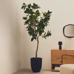 Kave Home Kunstplant Ficus 210cm hoog, excl. sierpot - Groen