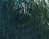 Jan Kurtz Hawaii parasol - salie