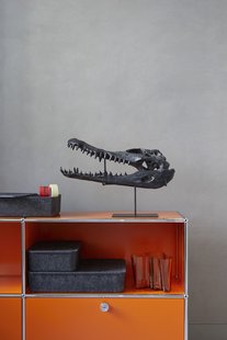 USM Haller USM Inos Box - antracietgrijs - met subdivisie - L hoog