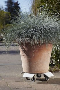 Flora Scooter van een vrachtwagen - lichtgrijs - Ø 25 cm