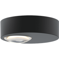 Grau Globe Box plafond- en wandlamp - zwart
