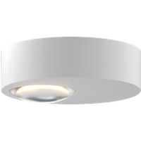 Grau Globe Box plafond- en wandlamp - wit