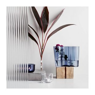 Iittala Alvar Aalto Vaas 16cm - cranberry