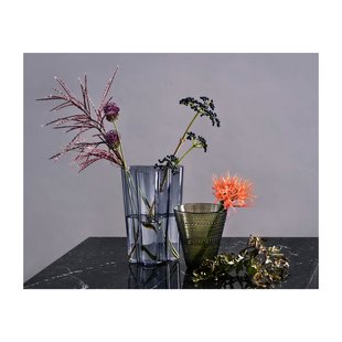 Iittala Alvar Aalto Finlandia Vaas 25,1cm - helder