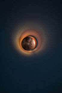 Catellani & Smith Lederam W Wandlamp - D1 wit/koper D2 koper/wit - Ø 25