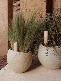 Audo Hydrous Watering Stick Set - H36 cm