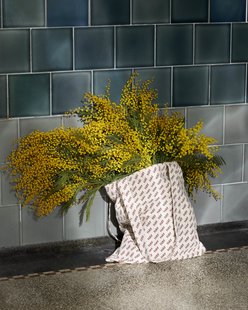 HAY HAY Logo Tote Bag - bordeaux