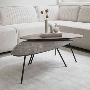 DTP Home Salontafel 'Plectro' Betonlook, Set van 2 stuks, kleur Bruin/Zwart