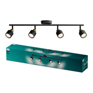 Philips Opbouwspot Niall Zwart Messing 4xgu10