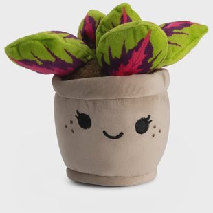 Pluche Gekleurde Plant