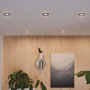 Paulmann inbouwlamp Nova Plus zwart Ø 9 cm GU5.3/GU10 IP65