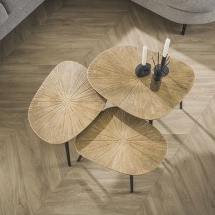 LifestyleFurn Organische Salontafel 'Katrell' Ray Metal, Set van 3 stuks