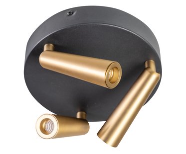 ETH Barry - opbouwspot 3L - Ø 16 x 3 cm - 9W LED incl. - zwart en messing