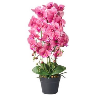 Beliani - ORCHID - Kunstplant - Roze - 65 cm - Synthetisch materiaal