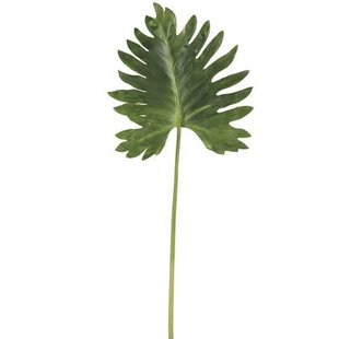 J-Line decoratie Blad - kunststof - donkergroen