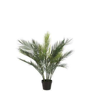 J-Line plant Palmboom - kunststof - groen