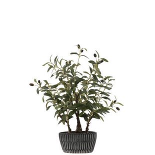 J-Line olijfboom in cement pot - kunststof - groen