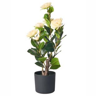 Beliani - CAMELLIA - Kunstplant - Groen - 60 cm - Kunststof