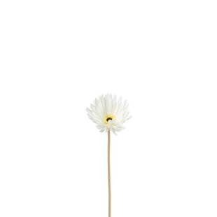 J-Line bloem Gerbera Virgin - kunststof - wit - 12 stuks
