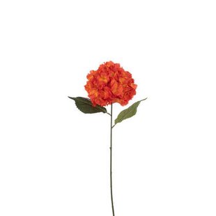 J-Line bloem Hortensia Sproeier - kunststof - rood