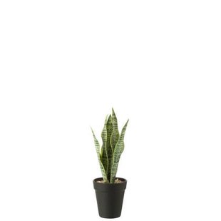 J-Line plant Dracaena Trifasciata in pot - kunststof - groen - small