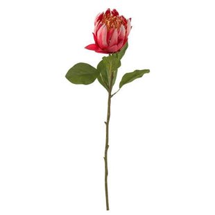 J-Line bloem Protea Tak - kunststof - rood - 6 stuks