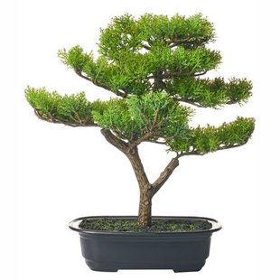 Beliani - PINE - Kunstplant - Groen - 37 cm - Synthetisch materiaal