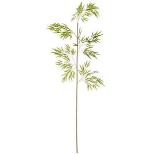 J-Line bambou in Pot - kunststof - groen